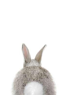 Poster - Hare rear view on a white background, 60 x 90 см, Framed poster, Minimalism
