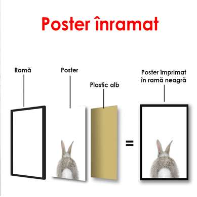 Poster - Iepure pe fundalul alb, 60 x 90 см, Poster inramat pe sticla, Minimalism