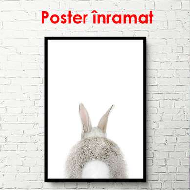Постер - Заяц вид сзади на белом фоне, 60 x 90 см, Постер в раме, Минимализм