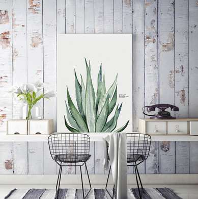 Poster - Green plant on a white background, 60 x 90 см, Framed poster, Botanical