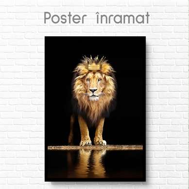 Постер, Лев с золотой короной, 60 x 90 см, Холст на подрамнике, Животные
