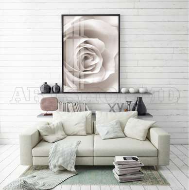 Poster - Trandafirul alb, 60 x 90 см, Poster înrămat, Flori
