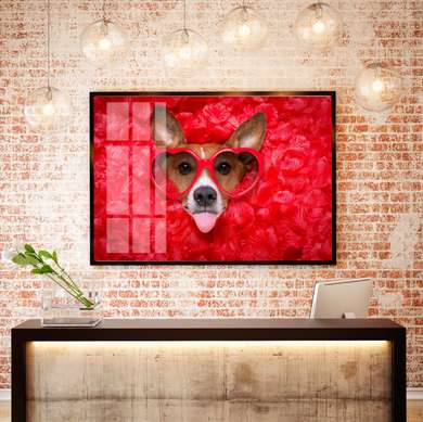 Poster - Câine cu ochelari roșii, 90 x 60 см, Poster înrămat