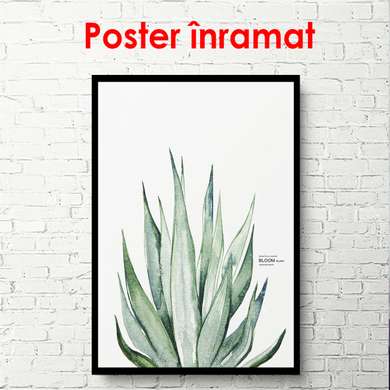 Poster - Plantă verde pe un fundal alb, 60 x 90 см, Poster înrămat, Botanică
