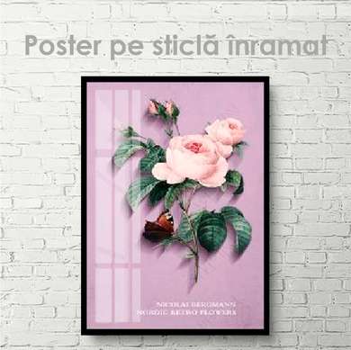 Постер - Пудровая роза, 30 x 45 см, Холст на подрамнике, Цветы