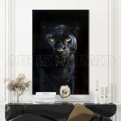 Poster - Black Panther, 30 x 45 см, Canvas on frame, Animals