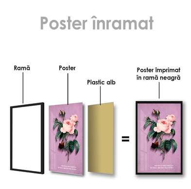 Poster - Trandafir de culoare nude, 30 x 45 см, Panza pe cadru, Flori