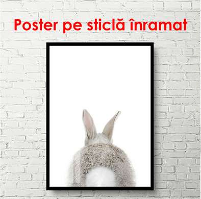 Poster - Iepure pe fundalul alb, 60 x 90 см, Poster inramat pe sticla, Minimalism