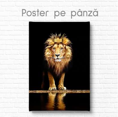 Poster, Lion with golden crown, 60 x 90 см, Canvas on frame, Animals