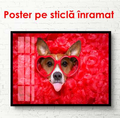 Постер - Собачка в красных очках, 90 x 60 см, Постер в раме, Разные