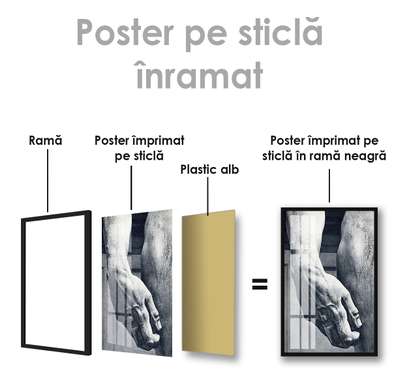 Poster - Mână, 30 x 45 см, Panza pe cadru, Alb Negru