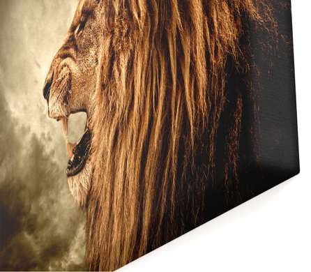 Modular picture, Lion on a dark background., 198 x 115