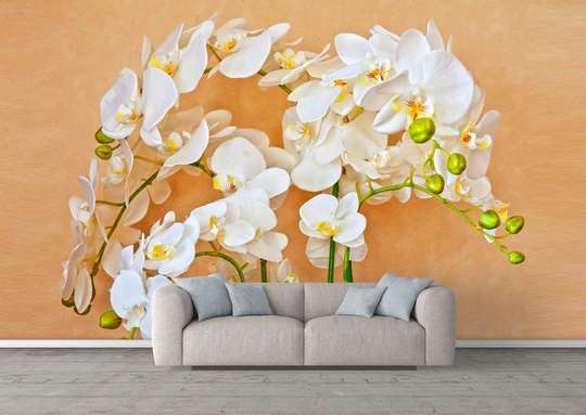 Wall Mural - White orchid on a beige background