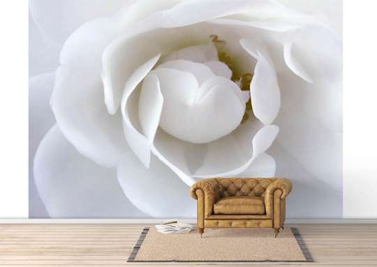 Fototapet - Floare albă