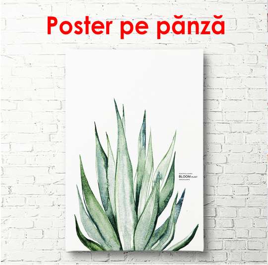 Постер - Зеленое растение на белом фоне, 60 x 90 см, Постер в раме