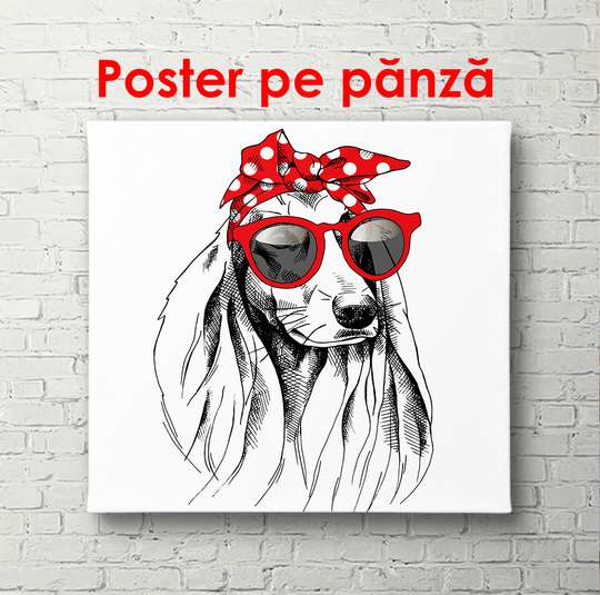 Постер - Собачка в красных очках н абелом фоне, 100 x 100 см, Постер в раме, Для Детей