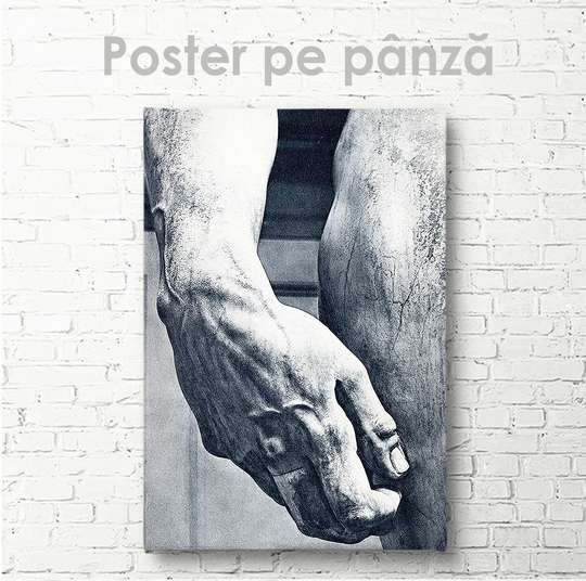 Poster - Mână, 30 x 45 см, Panza pe cadru