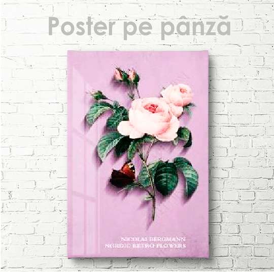 Poster - Trandafir de culoare nude, 30 x 45 см, Panza pe cadru