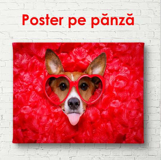 Постер - Собачка в красных очках, 90 x 60 см, Постер в раме