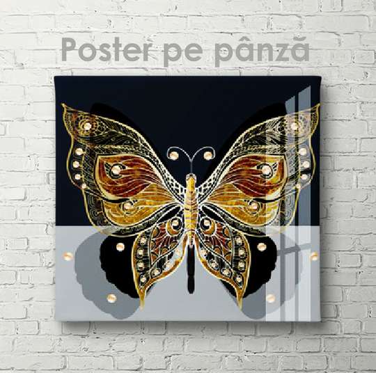 Poster - Fluture, 40 x 40 см, Panza pe cadru