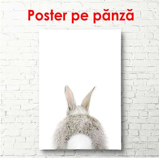 Постер - Заяц вид сзади на белом фоне, 60 x 90 см, Постер в раме