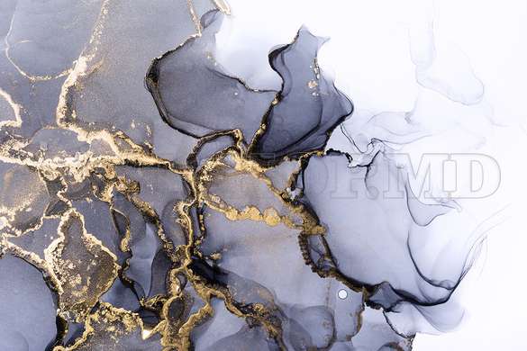 Wall mural - Black with gold