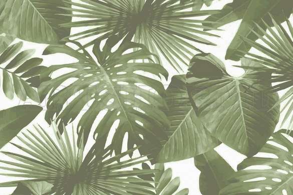 Фотообои - Зеленые листья на белом фоне