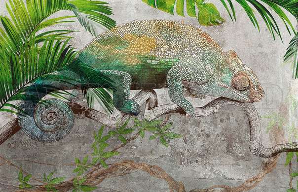 Wall mural - Chameleon