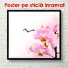 Poster - Pink Orchid, 100 x 100 см, Framed poster, Flowers