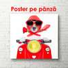 Poster - Dog driving a moped, 100 x 100 см, Framed poster, Minimalism