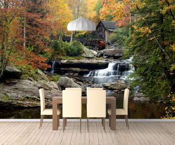 Wall Mural - Waterfall in the autumn forest