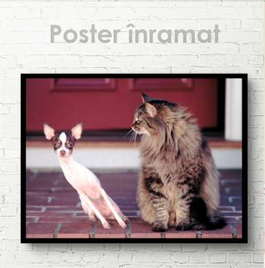 Постер, Кот и собака, 45 x 30 см, Холст на подрамнике, Животные