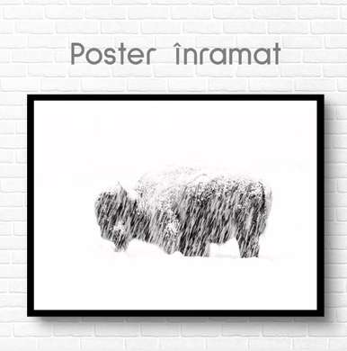 Постер, Бизон в снегу, 90 x 60 см, Постер на Стекле в раме, Животные