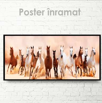 Poster, O turmă de cai sălbatici, 150 x 50 см, Poster inramat pe sticla