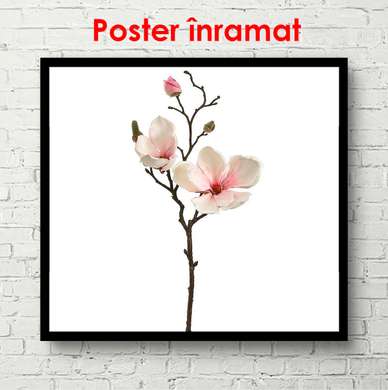 Poster - Crenguța cu flori roz, 100 x 100 см, Poster înrămat