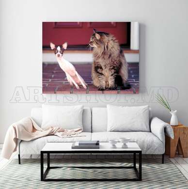 Poster, cat and dog, 45 x 30 см, Canvas on frame, Animals