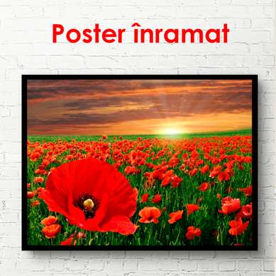 Poster - Flori abstracte bej, 90 x 60 см, Poster înrămat, Flori