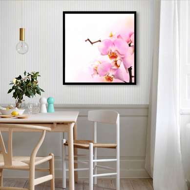 Poster - Orhidee roz, 100 x 100 см, Poster înrămat, Flori