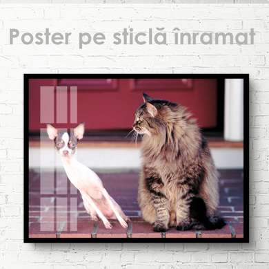 Poster, Pisica și câinele, 45 x 30 см, Panza pe cadru, Animale