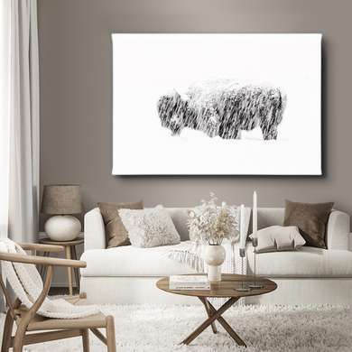 Poster, Bison in the snow, 90 x 60 см, Framed poster on glass, Animals