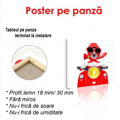 Poster - Dog driving a moped, 100 x 100 см, Framed poster, Minimalism