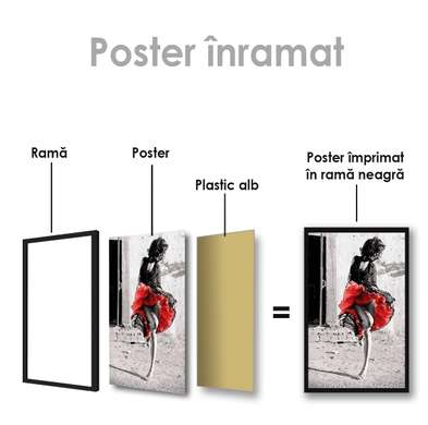 Poster - Red skirt, 60 x 90 см, Framed poster on glass