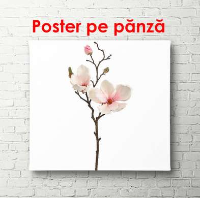 Poster - Crenguța cu flori roz, 100 x 100 см, Poster inramat pe sticla, Minimalism