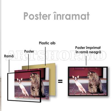 Poster, cat and dog, 45 x 30 см, Canvas on frame, Animals