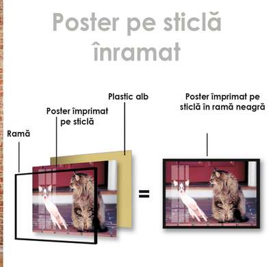 Poster, Pisica și câinele, 45 x 30 см, Panza pe cadru, Animale