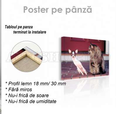 Poster, cat and dog, 45 x 30 см, Canvas on frame, Animals