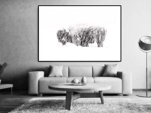 Poster, Bison in the snow, 90 x 60 см, Framed poster on glass, Animals