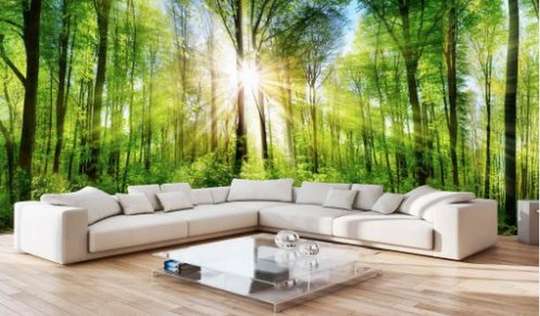 Wall Mural - Sunny forest 2