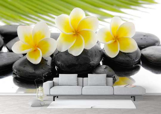 Wall Mural - Yellow flowers on black stones