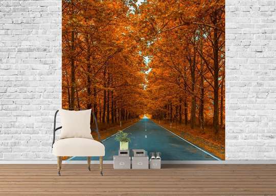 Wall Mural - Autumn forest